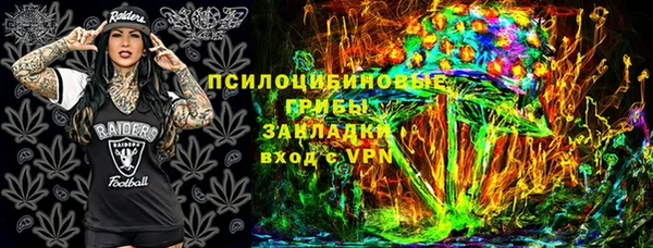 ешки Заводоуковск